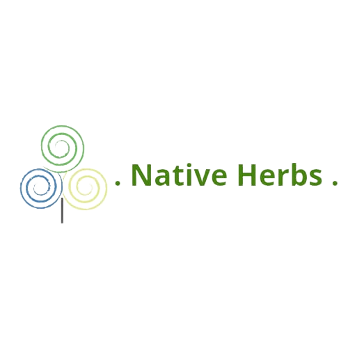 Freelance WordPress developer in Bangalore offering modern wordpress websites, SEO, branding, and result-driven digital marketing services for business growth.